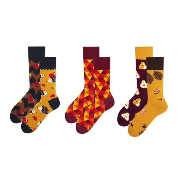 Set ponožek v dárkovém balení Many Mornings Autumn, vel. 43–46