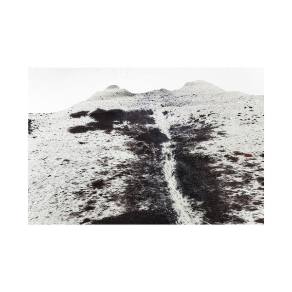 Bílo-hnědý koberec z hovězí kůže Kare Design Hide, 190 x 150 cm-image-3