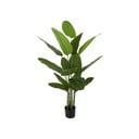 Kunstlik taim (kõrgus 150 cm) Canna - PT LIVING