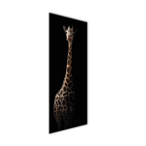 Pilt Glas Loomad , 50 x 125 cm Gira - Styler-image-1
