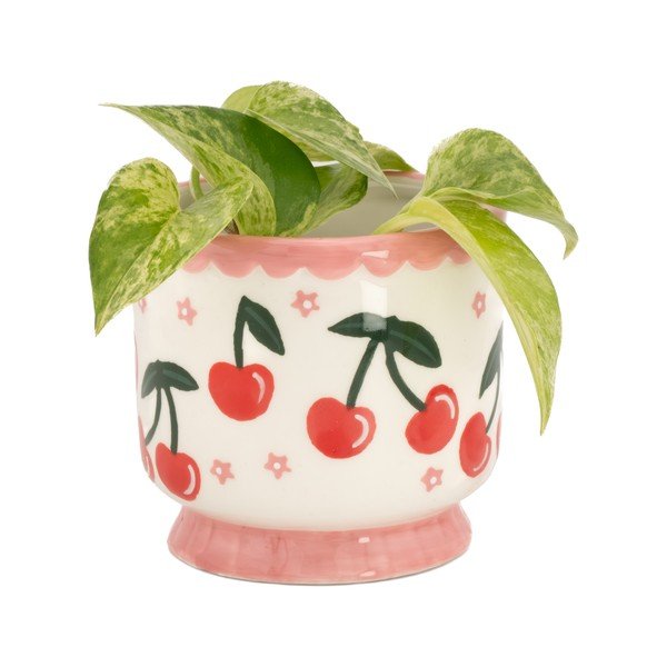 Keraamiline kaas lillepotile ø 7,5 cm Fruit - Sass & Belle-image-1