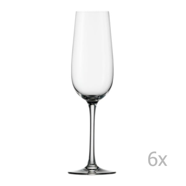 Sada 6 sklenic na šampaňské Stölzle Lausitz Weinland Flute, 200 ml