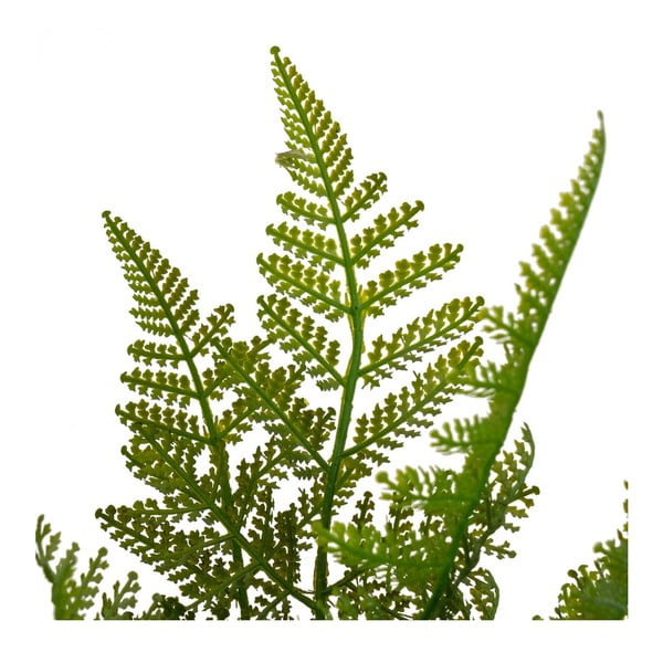 Kunstlik sõnajalg (kõrgus 45 cm) - Casa Selección-image-2