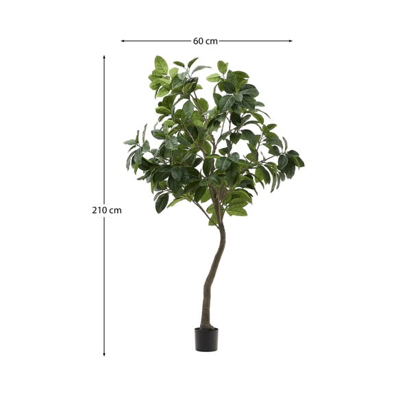 Kunstlik viigipuu (kõrgus 210 cm) Ficus - Kave Home-image-4