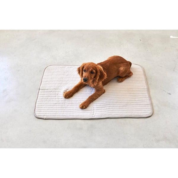 Beež puuvill tekk 120x90 cm Onda Greige L – MiaCara-image-1