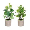 Kunsttaimed 2tk komplektis (kõrgus 28 cm) - Casa Selección