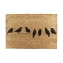 Uksematt 40x60 cm Birds On a Wire - Artsy Doormats