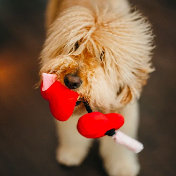 Mänguasi koerale Heart - P.L.A.Y.-image-1