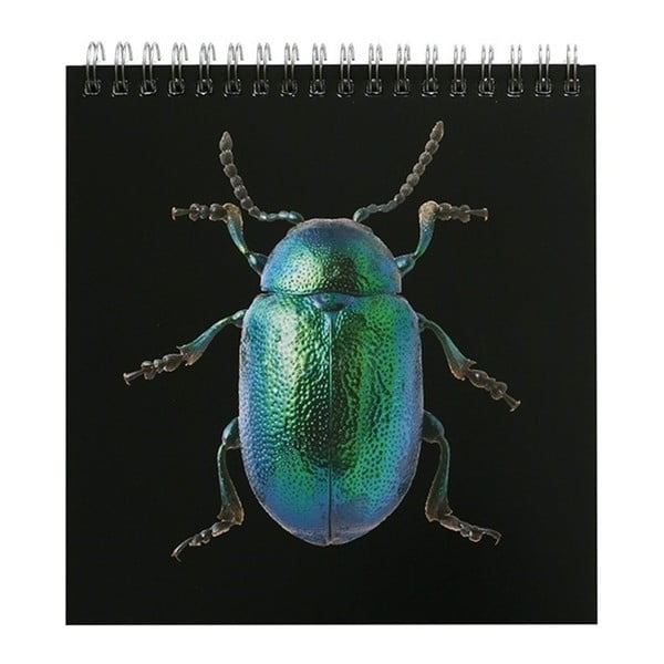 Stolní kalendář pro rok 2018 Portico Designs Natural History Museum Beetles & Bugs