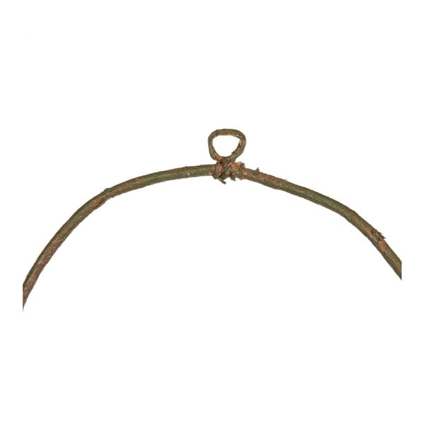 Pärg Magnolia - Ixia-image-1