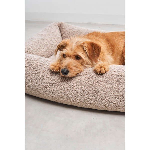 Beež bukleekangast koeravoodi 71x91 cm Senso Greige M - MiaCara-image-3