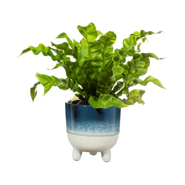 Kiviplaat lillepoti kate  ø 12 cm Mojave – Sass & Belle-image-2