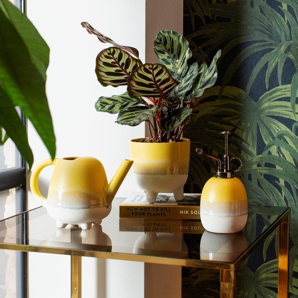 Kollane pott Bohemian Home , ø 11,7 cm Mojave - Sass & Belle-image-1