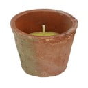 Lõhnaküünal põlemisaeg 10h Citronelle - Esschert Design