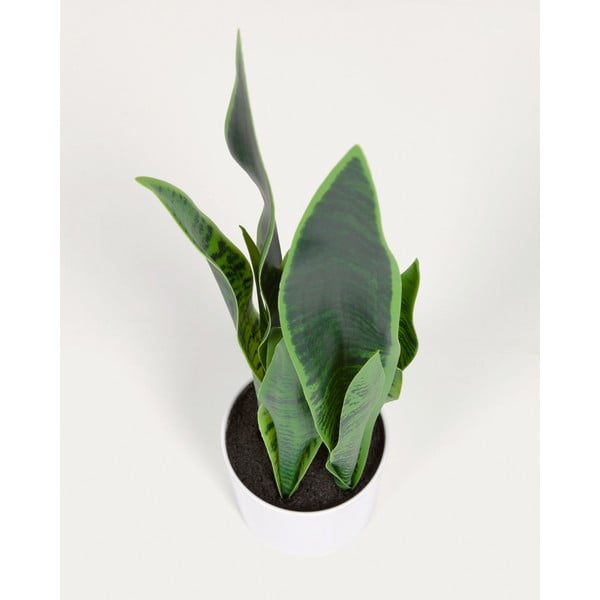 Kunsttaim (kõrgus 55 cm) Sansevieria - Kave Home-image-2
