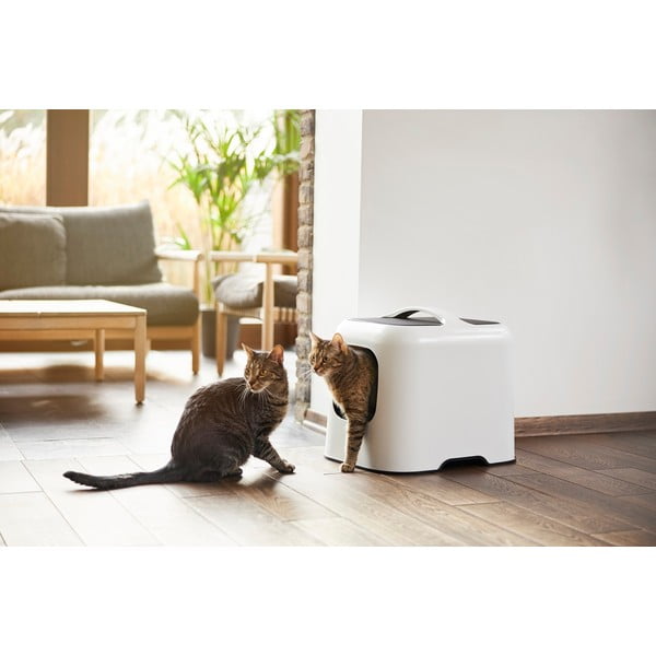 Valge kasside liivakast 40x51 cm Biala - Rotho-image-4