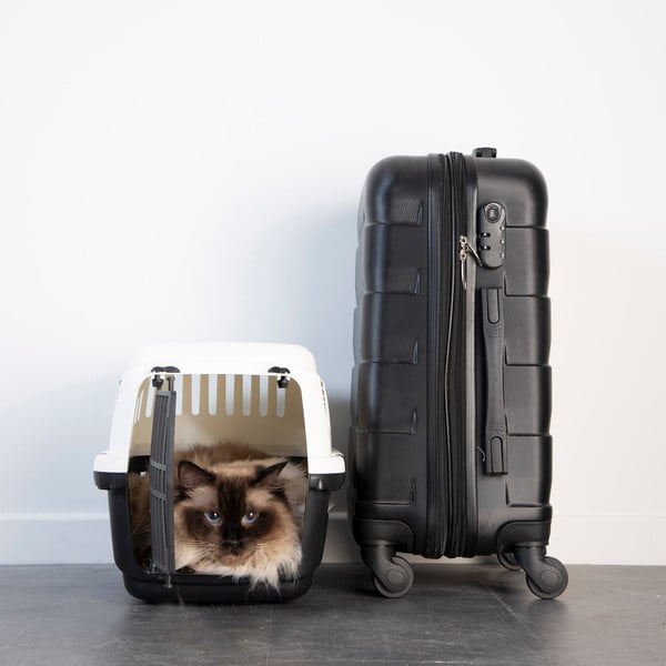 Lemmiklooma kast 31x46 cm - Love Story-image-1