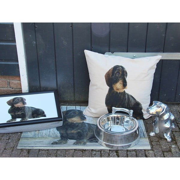 Polštář Mars&More Dog, 50 x 50  cm-image-2