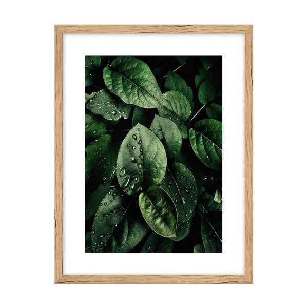 Plakat 30x40 cm Leaves 