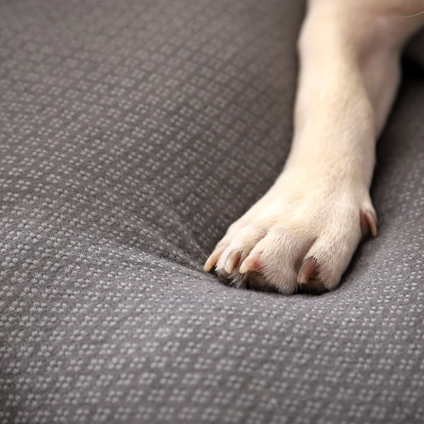 Helehall koeravoodi 60x48 cm Graphene - Love Story-image-3