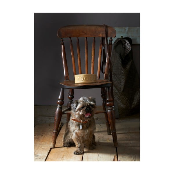 Keraamiline kauss koertele, ø 25 cm Pet Cane Dog - Mason Cash-image-3