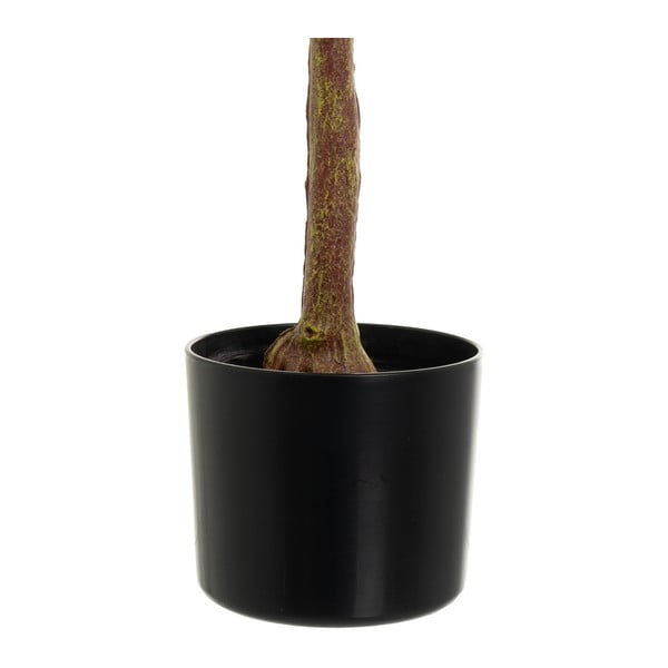 Kunstlill Eucalyptus - Casa Selección-image-3