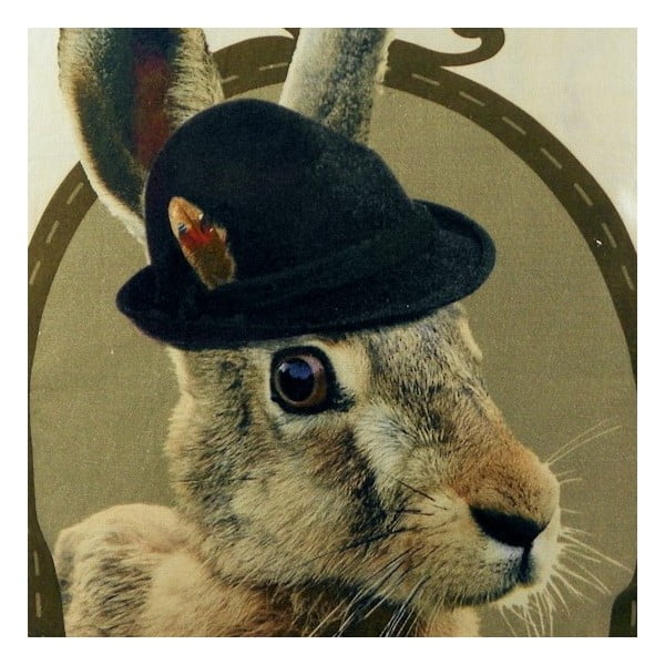 Polštář Alm Hare 50x50 cm-image-1