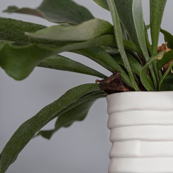 Valge portselanist käsitsi valmistatud vaas Ribbon - Mette Ditmer Denmark-image-4