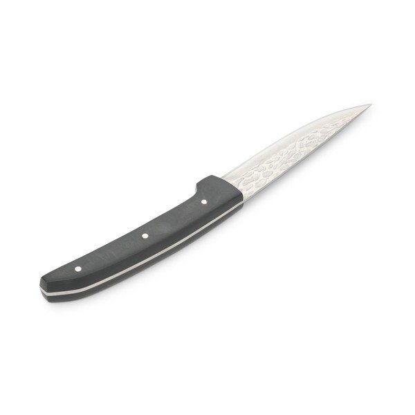 Mustad/hõbedased terasest steikinoad 4-osalise komplektiga Carne - BonBistro