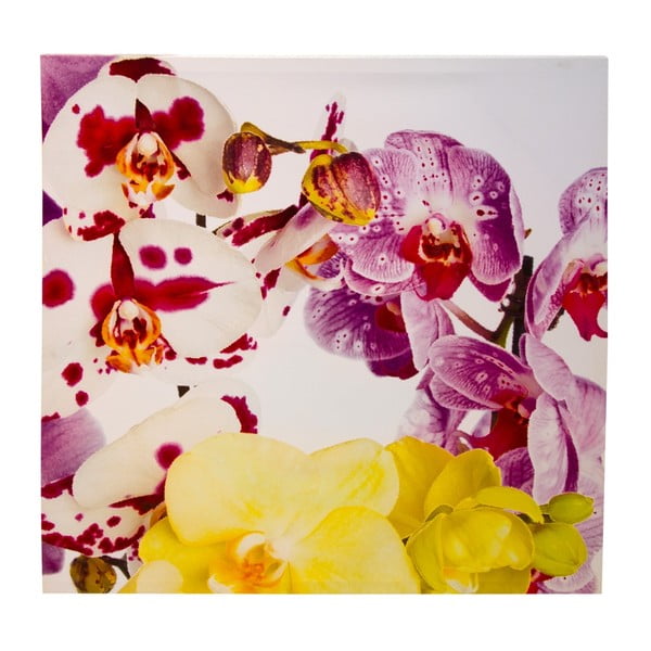 Obraz na plátně 8mood Orchid, 90 x 90 cm