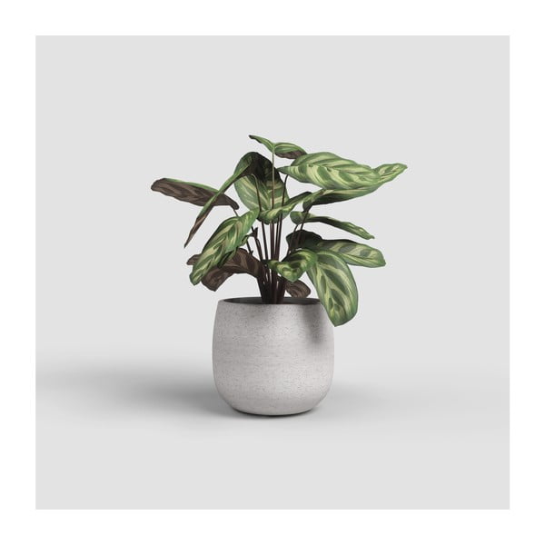 Keraamiline käsitöö lillepott ø 20 cm Hemera - Artevasi-image-3