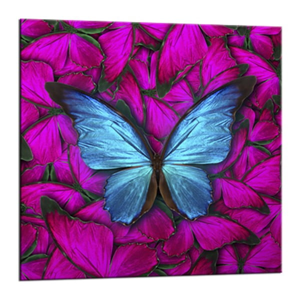 Pilt Glasspik Red , 20 x 20 cm Butterfly - Styler