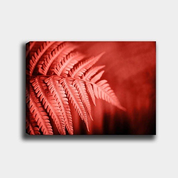 Nástěnný obraz na plátně Tablo Center Palm, 40 x 60 cm