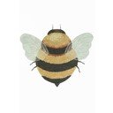 Kollane pestav käsitsi kootud puuvillane laste vaip 115x150 cm Bee - Lorena Canals
