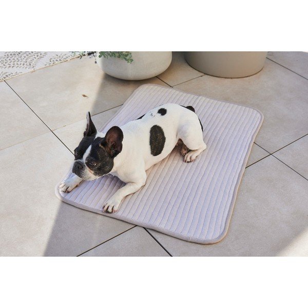 Hall puuvill tekk 100x75 cm Onda Pebble M – MiaCara-image-3