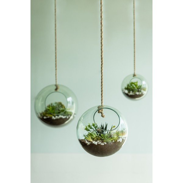 Klaas terraarium ø 20 cm Ball – Esschert Design-image-1
