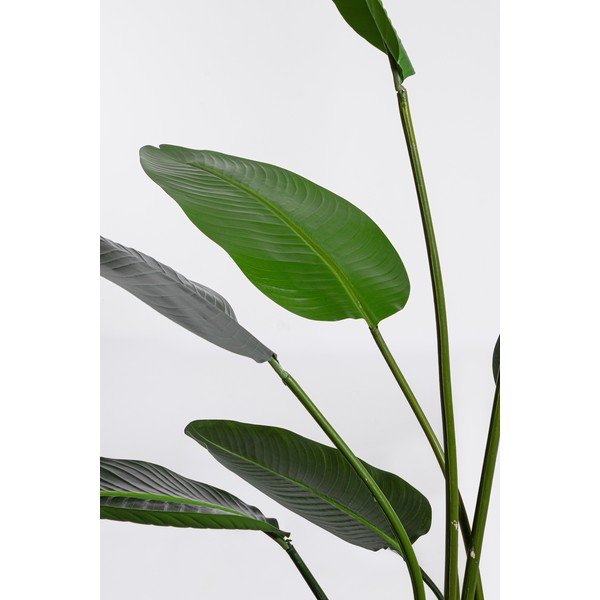 Kunsttaim, 185 cm Sterilizia – Bizzotto-image-1