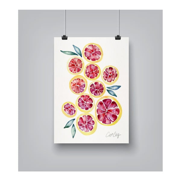 Plakát Americanflat Grapefruit Slices by Cat Coquillette, 30 x 42 cm
