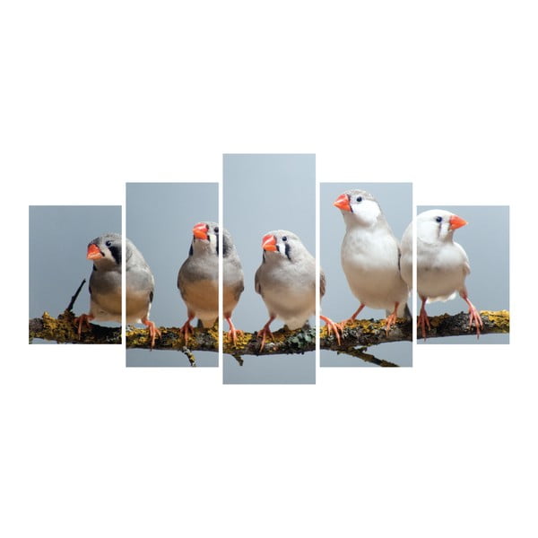Vícedílný obraz La Maison Des Couleurs Five Birds