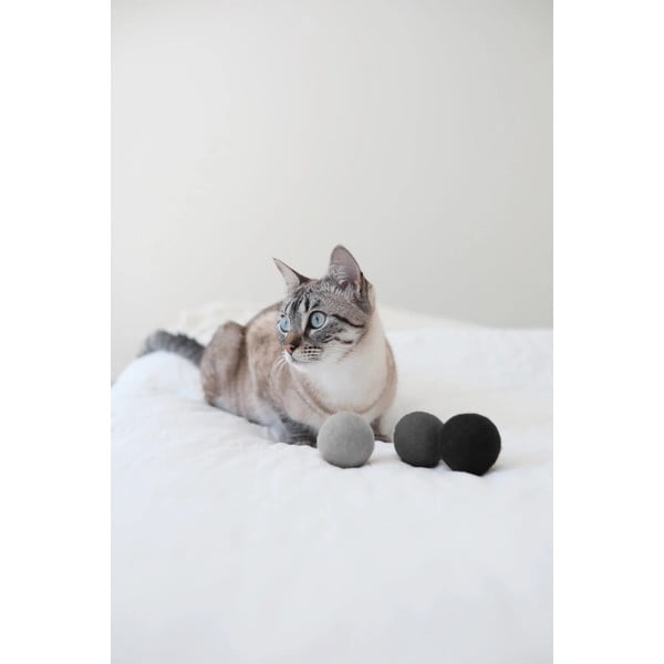 Kassi mänguasjad 3tk komplektis Globo Nougat - MiaCara-image-2