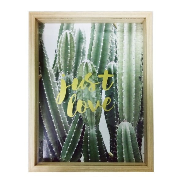 Zasklený obraz Maiko 3D Cactus, 30 x 40 cm
