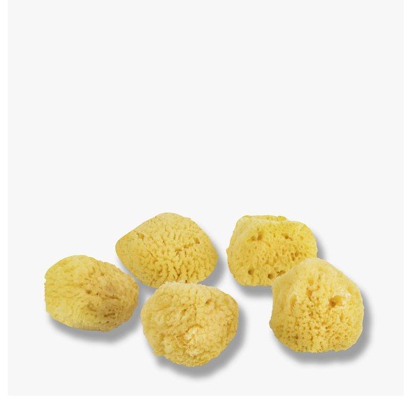 Kollane näopuhastuskäsnad komplektis  5 tk Ocean – Mette Ditmer Denmark