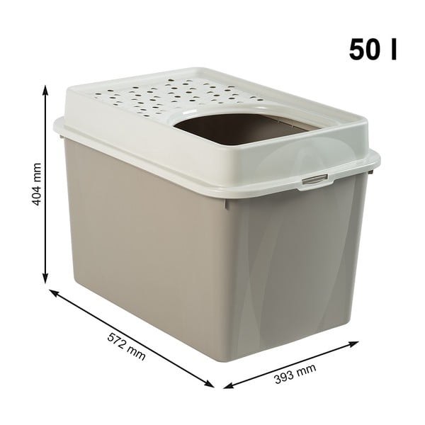 Kassi pesakast 57,2x39,3 cm Eco Berty - Rotho-image-1