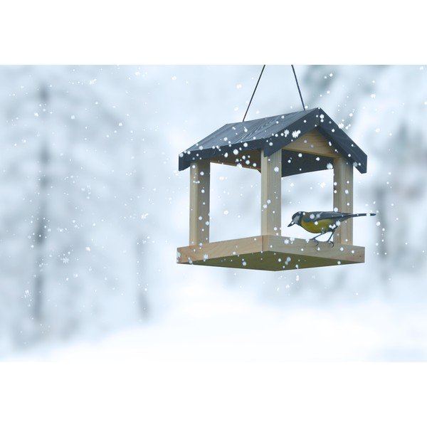 Puidust linnusöötja - Esschert Design-image-3