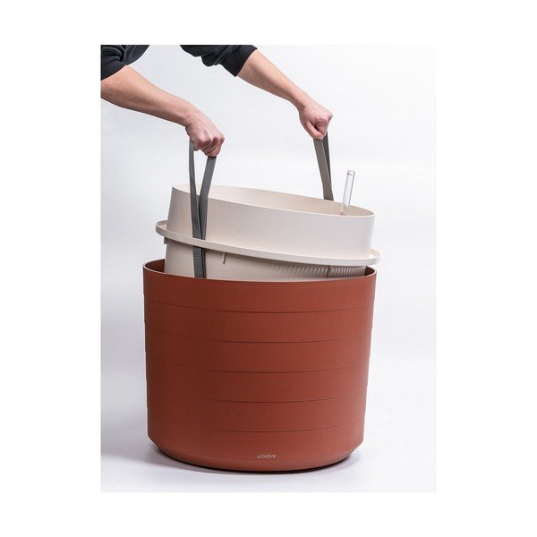 Berberis pruunikas-punane isevoolav pot, ø 55 cm - Plastia-image-3