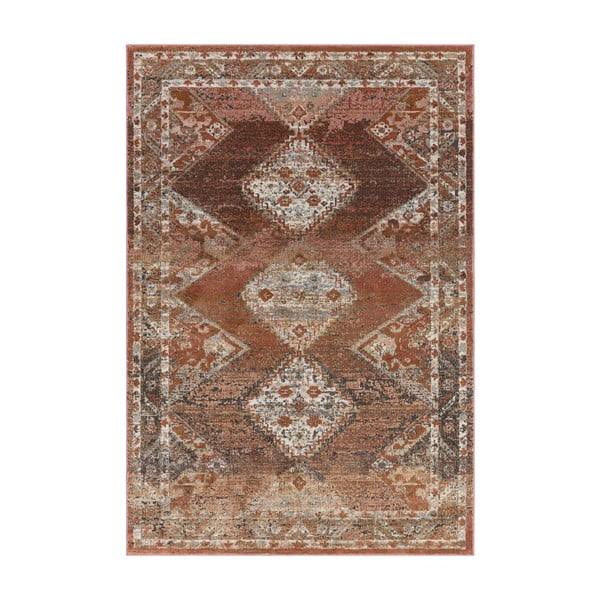 Punakaspruun vaip 170x120 cm Zola - Asiatic Carpets