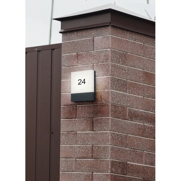 Välitingimustes kasutatav LED-seinavalgusti (kõrgus 20 cm) Pecos - Trio-image-2