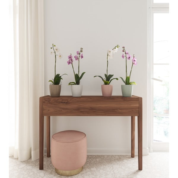 Keraamiline lillepott ø 14 cm Thalia - Artevasi-image-3