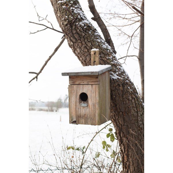 Puit kuldnoka maja – Esschert Design-image-1