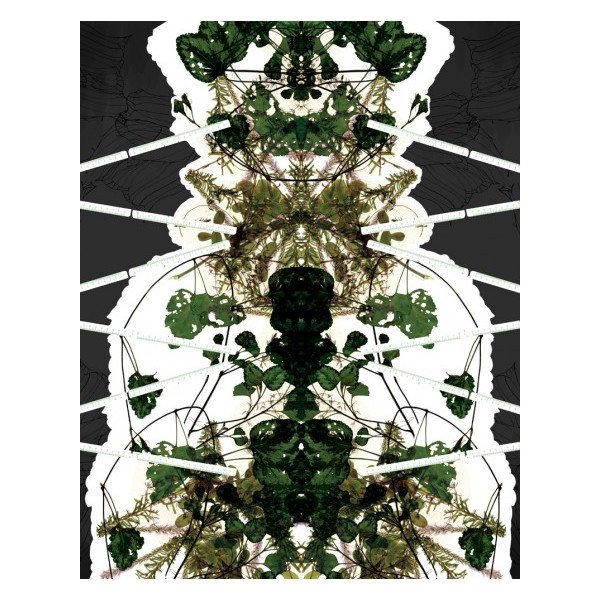 Taška Foliage Tote-image-1
